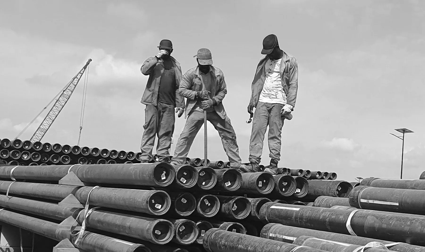ERMAS field team